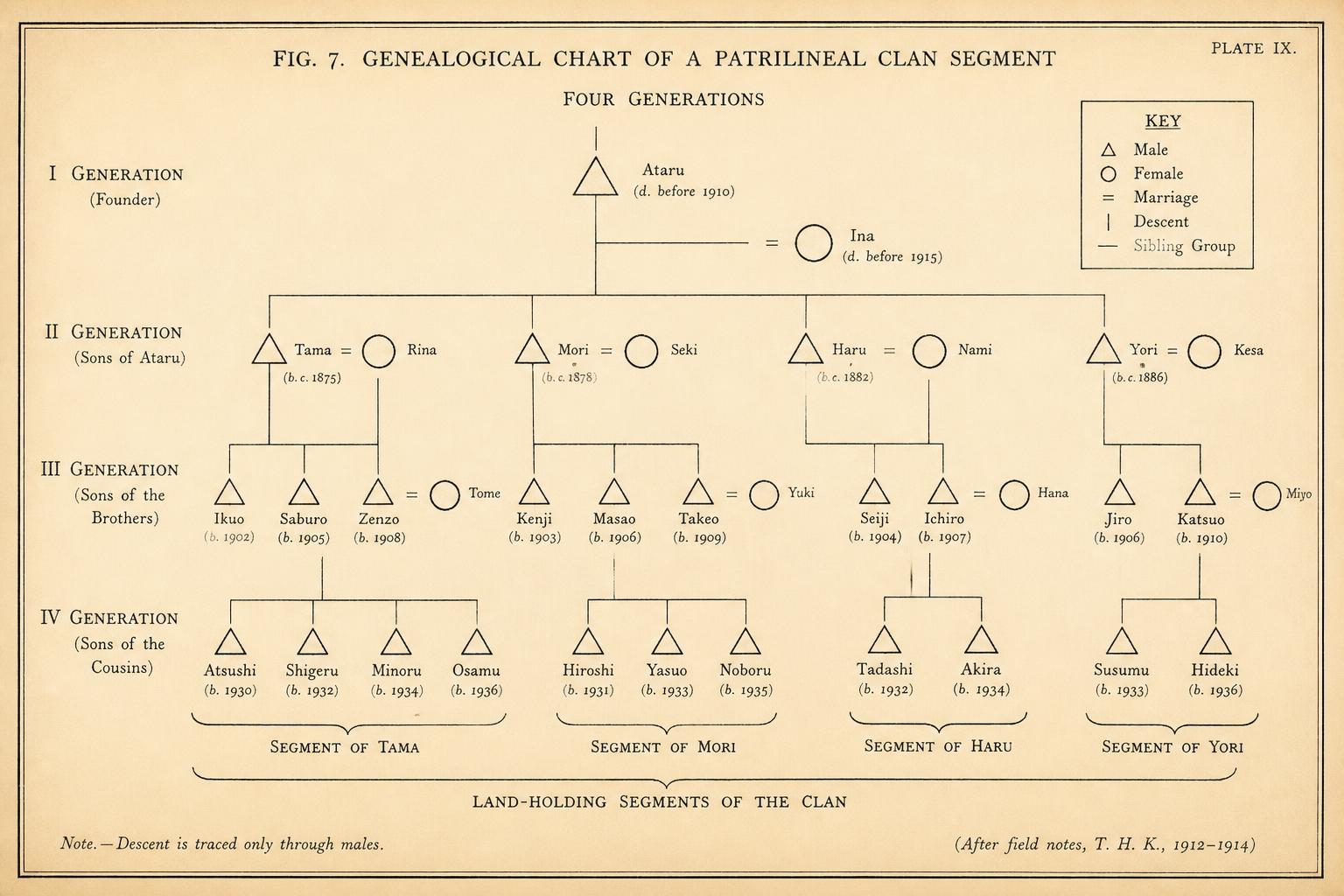 Figure 8. Genealogical structure of a patrilineal clan segment